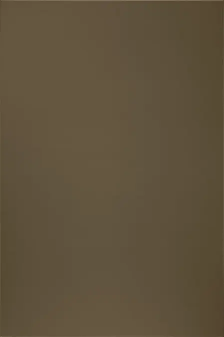 Nolte neoPure front Metal bronze Nolte neoPure front Metal bronze - 861